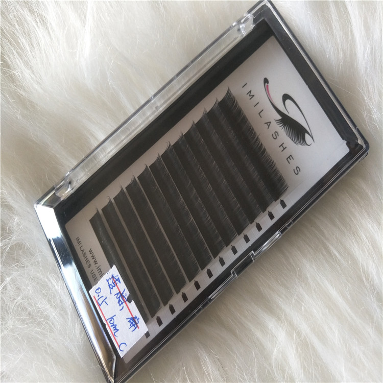 2019 New type of flat eyelashes wholesales in with best quality and good price